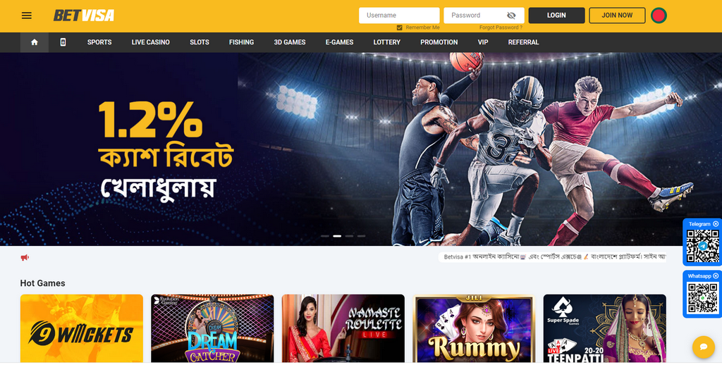 BetVisa Online Casino Application