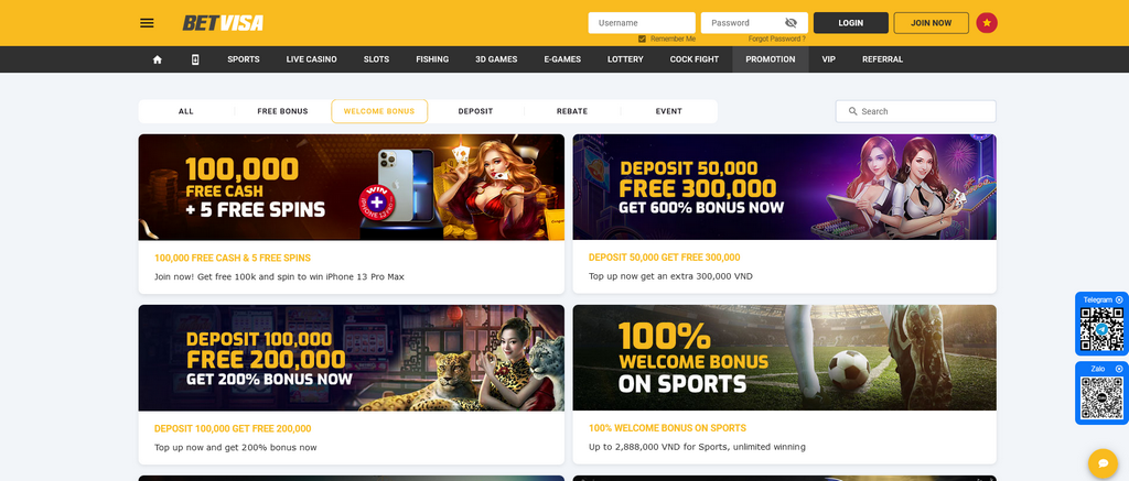 BetVisa Online Casino Application